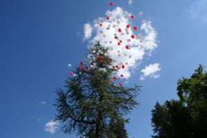 Odprtje Regijske varne hiše Kras3